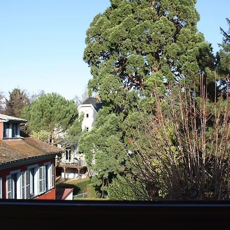 Superb Apt- Garden- 3 Parkings, Near Petite Venise ! Colmar Extérieur photo