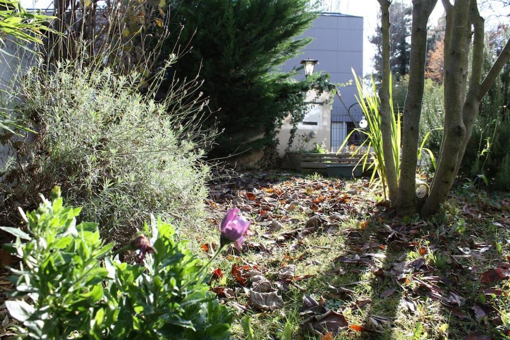 Superb Apt- Garden- 3 Parkings, Near Petite Venise ! Colmar Extérieur photo
