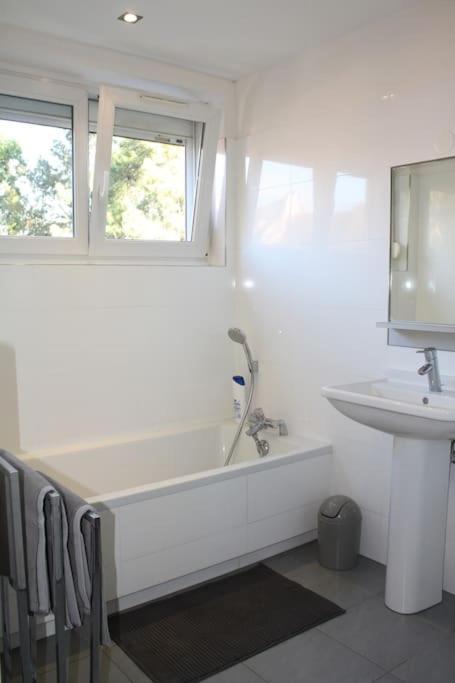 Superb Apt- Garden- 3 Parkings, Near Petite Venise ! Colmar Extérieur photo