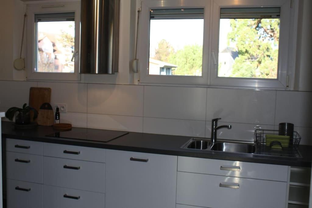 Superb Apt- Garden- 3 Parkings, Near Petite Venise ! Colmar Extérieur photo