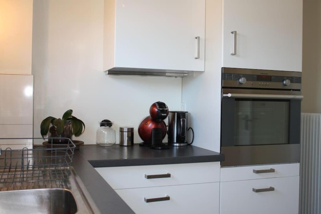 Superb Apt- Garden- 3 Parkings, Near Petite Venise ! Colmar Extérieur photo